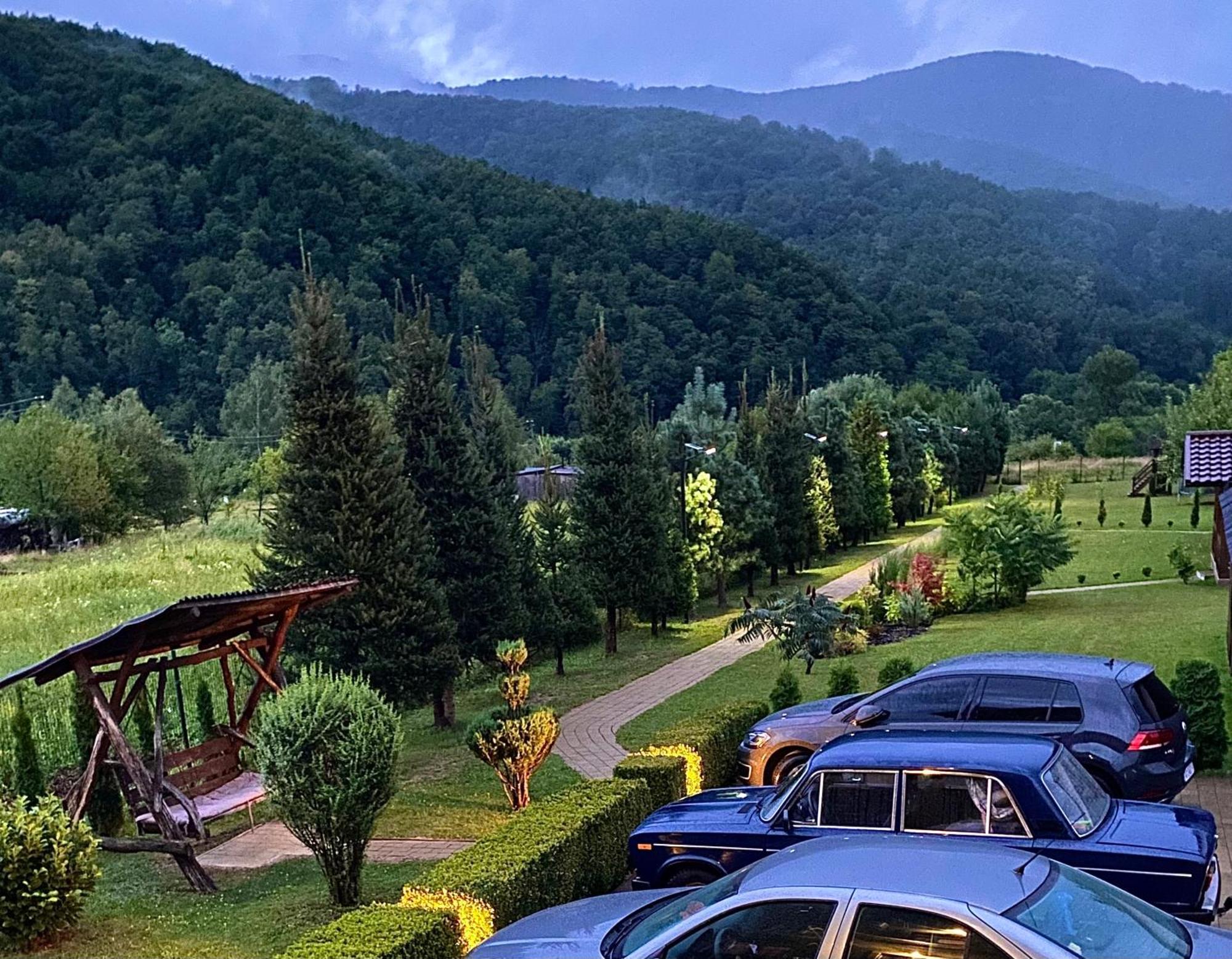 Садиба В Горах У Аліни Solotschyn Exterior foto